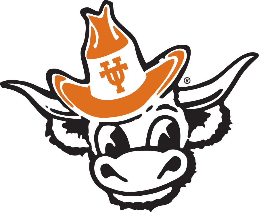 Texas Longhorns 1981-2011 Secondary Logo diy DTF decal sticker